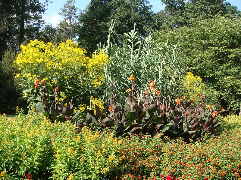 199 Longwood Gardens [2008 August 23].JPG - Longwood Gardens in Pennsylvania